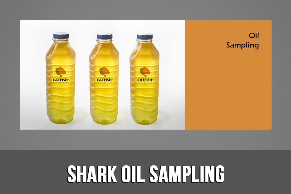 Shark Oil Sampling